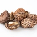 아리랑몰 이미지