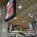 아시아나항공 OZ3615 김포-상해 상하이 홍차오공항 / 입국 신고서 / 디디 탑승 위치 / 과일식 추천