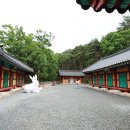 도림사 이미지
