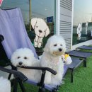 양지유치원 이미지