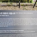 평죽보건진료소 네이버블로그