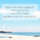 코아본점 Daum카페