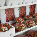 농장자동차공업사 이미지