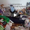 인심특수청소 네이버블로그