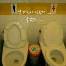 화장실 Daum카페