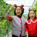 재인 농장 이미지