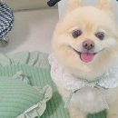 따숩개하우스 이미지