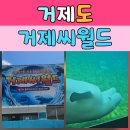 씨월드 | 거제여행 필수 코스, 아이들과 함께 벨루가 돌고래 교감하고 온 거제씨월드 솔직 후기!