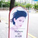 단국대미용실 메종드헤어 죽전점 원샷클리닉 후기