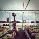 삽재농장 이미지