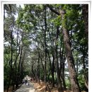 쌍충비각 이미지