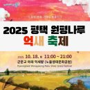 군문유치원 | 가을여행 가족여행 추천 2025 평택 원평나루 억새축제 주차 관람 꿀팁 총정리