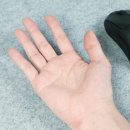 마우스2 이미지