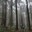 제주평화음악회 이미지