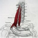 경희보비한의원 이미지