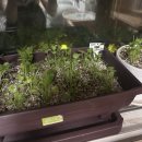 와이낫양양 이미지