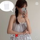 플라이 유튜버