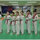 태권도세계도장 이미지