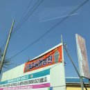 송정농원 | [제주도/제주시] 6세 아이와 천혜향 따기 체험한 후기 - 제주송정농원