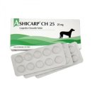 신사약국 이미지