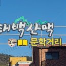 태백산맥거리1 이미지