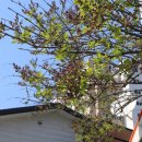 어수마을회관 이미지