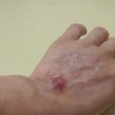 (주)기원농장 이미지