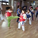 용인대현대태권도 이미지