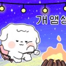 피피클럽