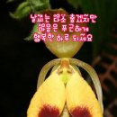 좋은생각