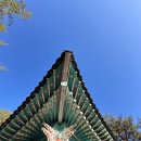 오죽헌시립박물관 이미지