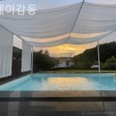 스테이 감동 이미지