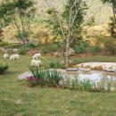 정원이 아름다운 집 이미지