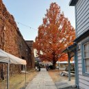 미관광장 | Tully's Coffee, 아이비 스퀘어, 구라시키 미관지구 야경