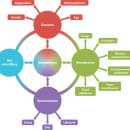 대사체학 Metabolomics 탐구 시작 2017 nature 이미지