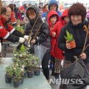 서부앵글 이미지