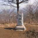 청계산(국수역에서 형제봉, 청계산, 부용산, 양수역으로 하산) 이미지