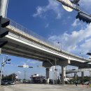 국화호수 | 2025계양 아라온 국화축제 후기