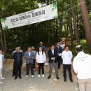 치유의숲 이미지