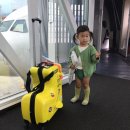 팜스빌리지105동민박 | 아쉬움이 많이 남는 숙소 제주 팜스빌리지 (반전주의)