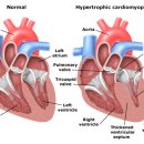 율동물의료센터 이미지