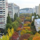 목동동로6길 이미지