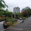 공지로 노컷뉴스