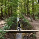 하단덴바스타호텔 | 경주1박2일 일정 및 경비, 경주뚜벅이여행, 불국사 쏘카이용후기