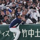 리틀덕수 이미지