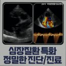 24시 라움동물의료센터 네이버블로그