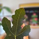 찬찬농장 이미지