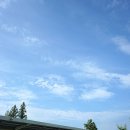 남원밀면 이미지