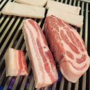 제주거멍돗 - 사천시 | 제주거멍돗