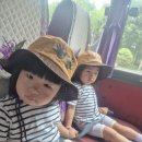 블루베리 농장 체험 이미지